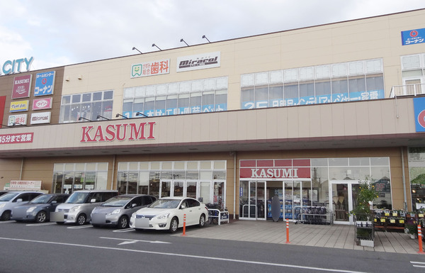 ライオンズマンション北小金(カスミフードスクエア柏中新宿店)