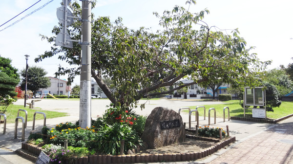 市川市北国分２丁目の土地(堀之内公園)