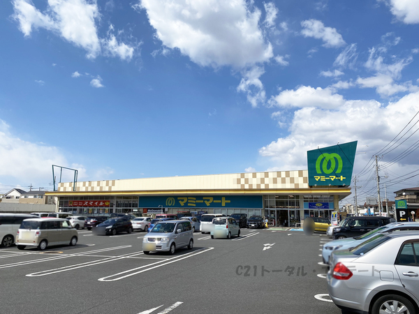 松戸市高塚新田の土地(マミーマート高塚店　高塚新田)