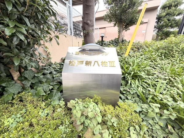藤和ライブタウン松戸新八柱３