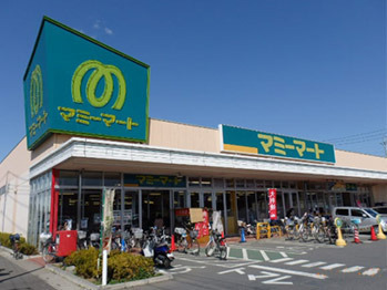 ライネスハイム柏(マミーマートあけぼの店)