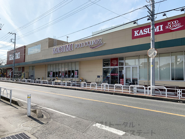 ダイアパレス新柏(カスミ　フードスクエア柏千代田店)