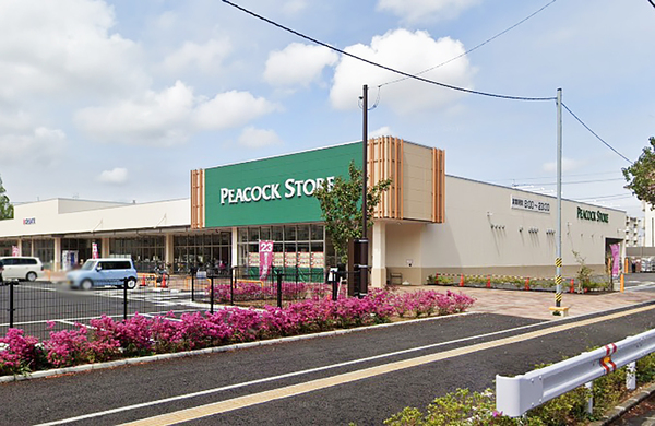 藤和シティホームズ柏(ピーコックストア豊四季台店)