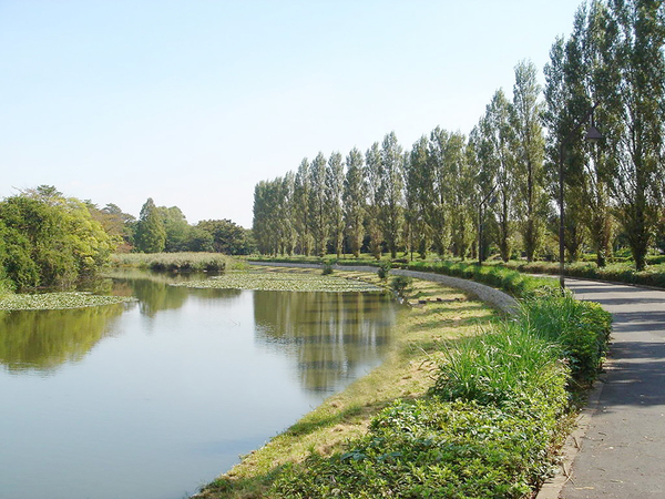 葛飾区東水元５丁目の土地(都立水元公園)