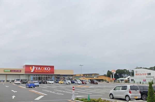 柏市中原１丁目の土地(ヤオコー柏南増尾店)