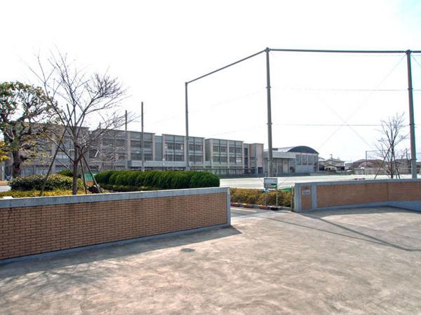エクセラージュ片瀬江ノ島(藤沢市立片瀬中学校)