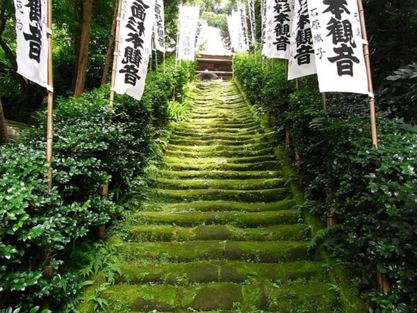 鎌倉市二階堂の土地(杉本寺)