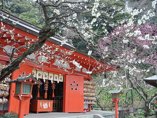 鎌倉市浄明寺１丁目の土地(荏柄天神)