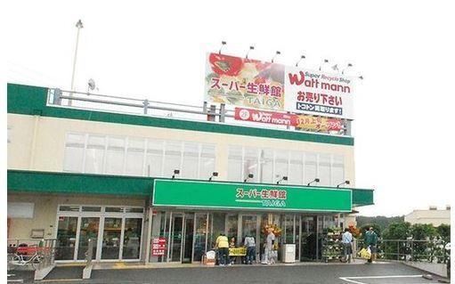 藤沢市大庭5450番 新築C号棟 全4区画(スーパー生鮮館TAIGA藤沢石川店)