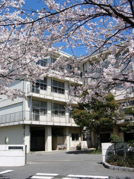 鎌倉市玉縄5丁目の土地(鎌倉市立玉縄中学校)