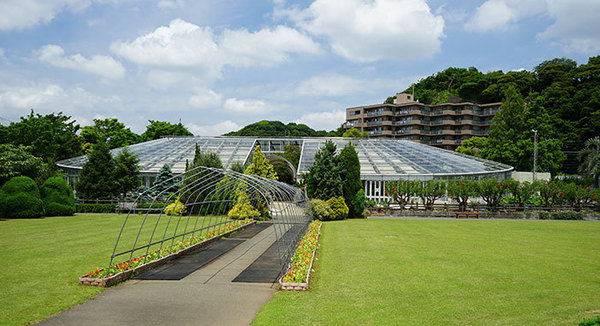 鎌倉市玉縄5丁目の土地(県立大船フラワーセンター)