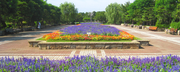 ルミネ鵠沼(藤沢市長久保公園都市緑化植物園)
