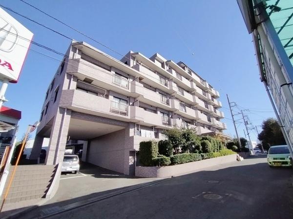 シーダム藤沢善行