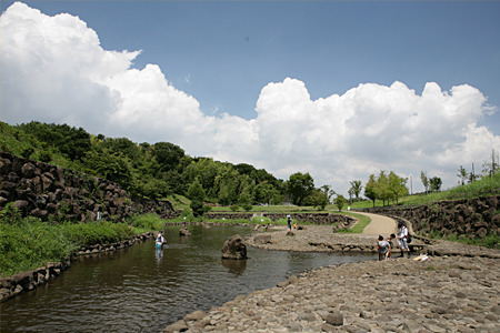 藤沢市遠藤第18 新築1号棟 全2棟(神奈川県立茅ヶ崎里山公園)