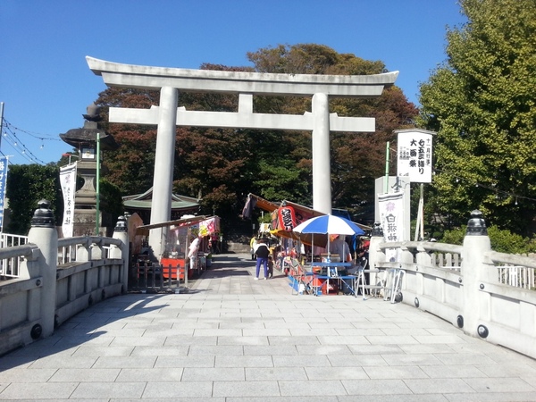 藤沢市白旗3丁目の中古一戸建て(白旗神社)