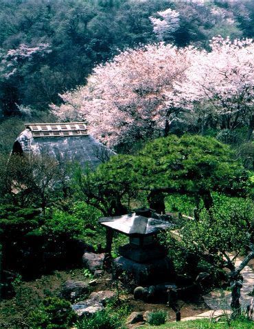 鎌倉市七里ガ浜東２丁目の土地(?亭)