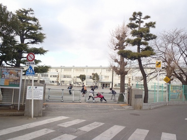 茅ヶ崎市松林1丁目の土地(茅ヶ崎市立松林小学校)