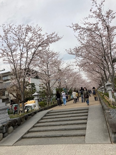 鎌倉市西御門2丁目の土地(若宮大路)