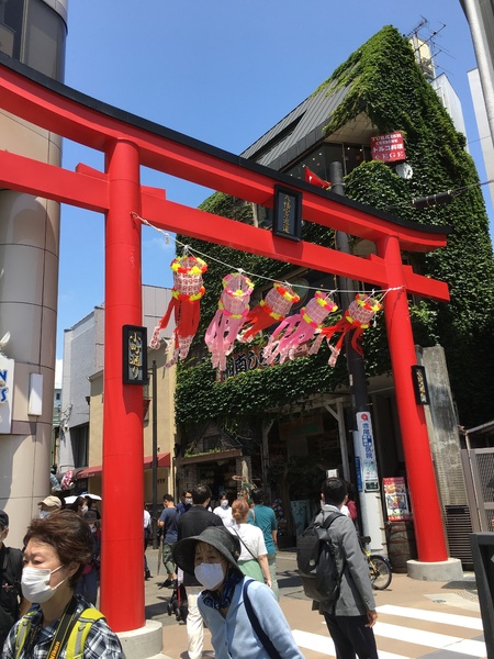 鎌倉市西御門2丁目の土地(小町通り)