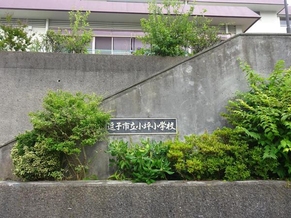 逗子市小坪5丁目の中古一戸建て(逗子市立小坪小学校)