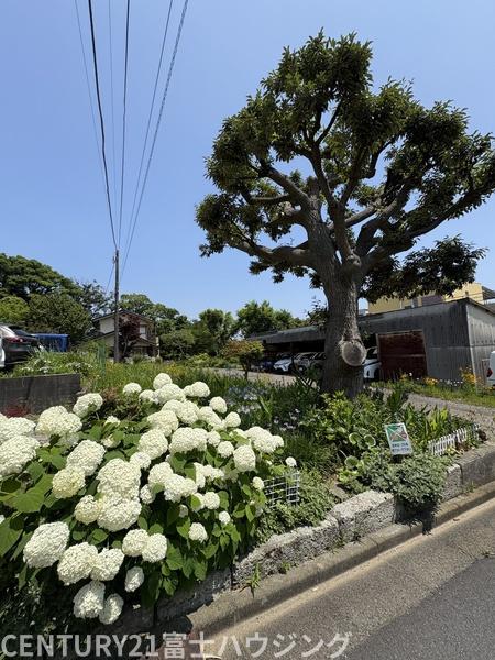 藤沢市石川　売地