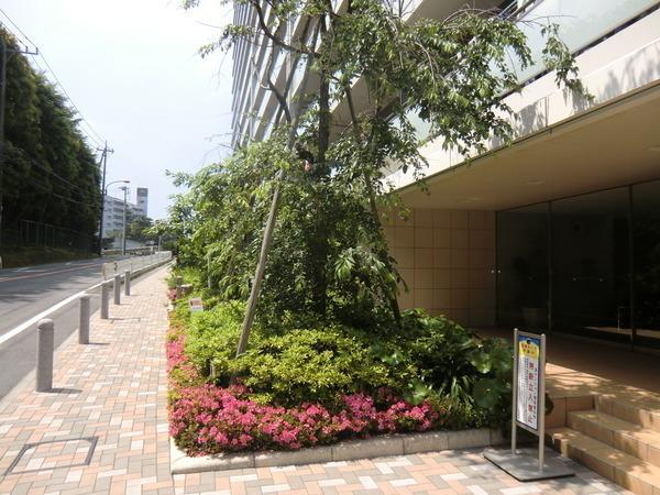 グレーシアパーク藤沢善行サザンフォート
