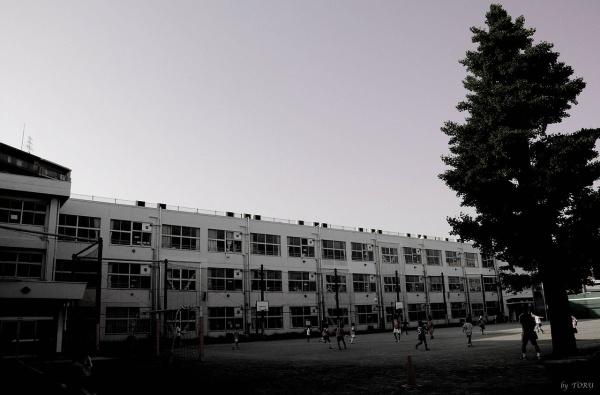 よこすか海辺ニュータウンゲートスクエアザ・タワーハウス(横須賀市立田戸小学校)