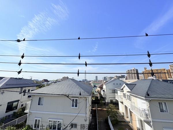 藤沢市鵠沼花沢町 新築1号棟 全3棟(現地からの眺望)