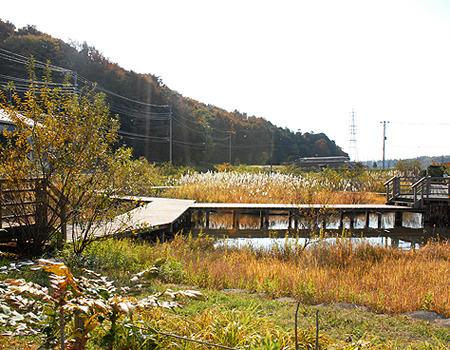 ラミアール藤沢モアクレストB棟(引地川親水公園)