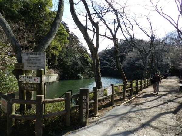 鎌倉市今泉3丁目　新築A棟　全3棟(散在が池森林公園)