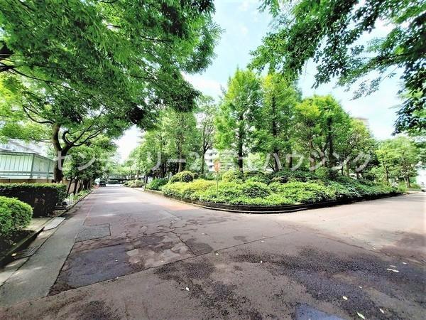 鎌倉ロジュマンD棟