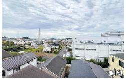 ルピナス鎌倉大船