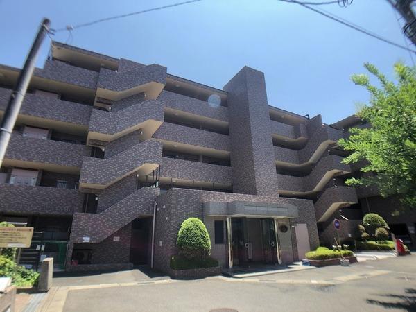 ルピナス鎌倉大船