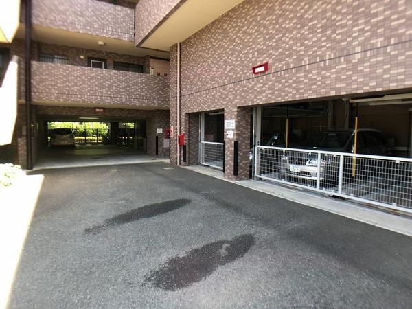 ルピナス鎌倉大船