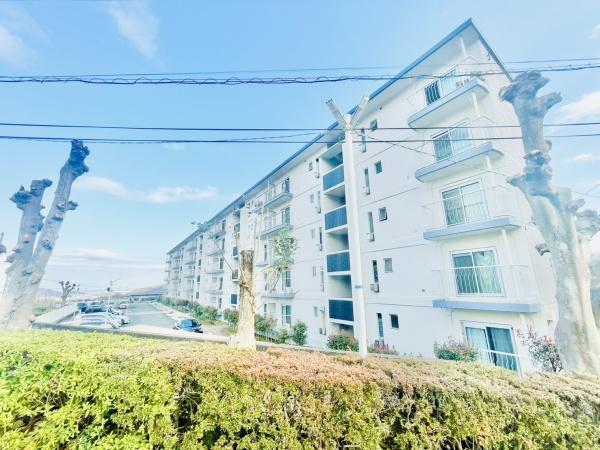 渋沢小田急ハイツ１号棟