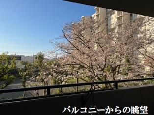 ラシェール鎌倉岡本ハイライズ