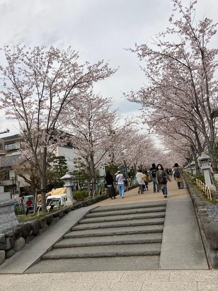 鎌倉市小町３丁目の土地(若宮大路)