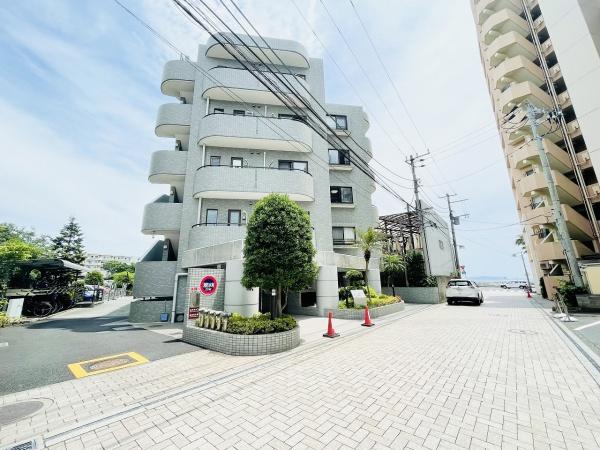 シルフィード湘南