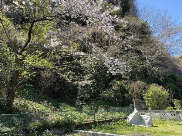 鎌倉市長谷3丁目 売地