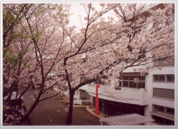 大船ダイヤハイツ２号棟(鎌倉市立富士塚小学校)