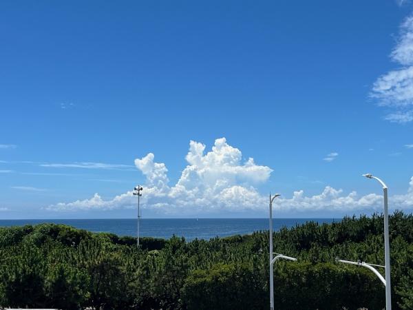 シーサイド鵠沼