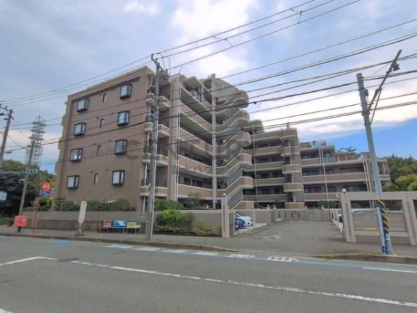 ケルン藤沢
