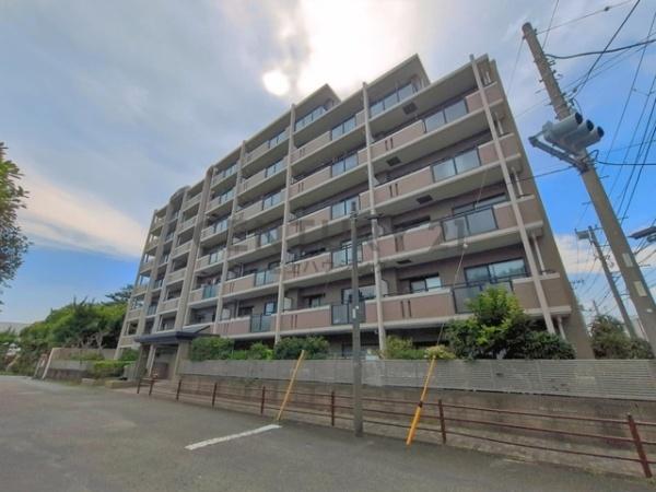 ケルン藤沢