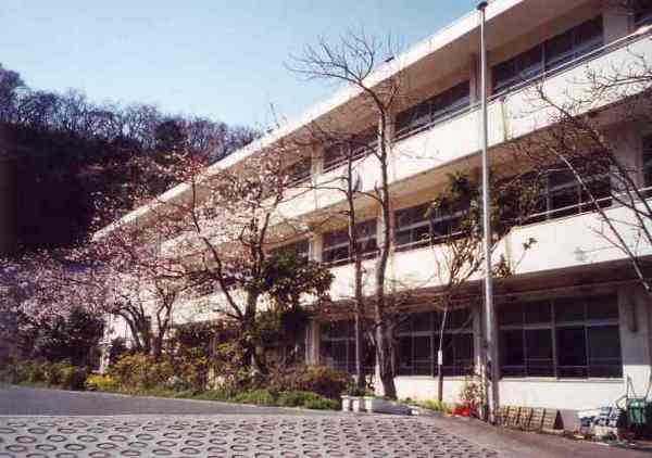 鎌倉市今泉台２丁目の土地(鎌倉市立今泉小学校)