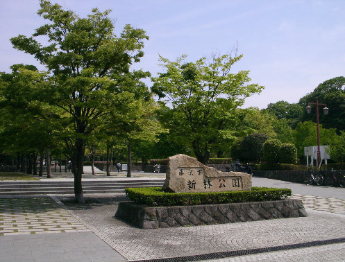 鎌倉市手広3丁目　新築3号棟　全3棟(新林公園)