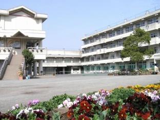 海老名市柏ケ谷４丁目の中古一戸建て(海老名市柏ヶ谷中学校)