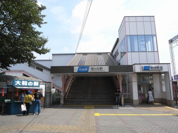 ウッドコート桜ヶ丘(桜ヶ丘駅（小田急江ノ島線）)