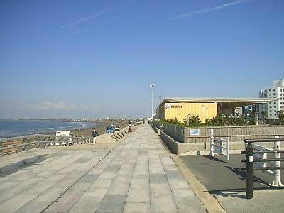 藤沢市鵠沼松が岡３丁目の土地(県立湘南海岸公園)