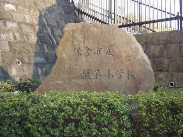 ヒルハイツ鎌倉C棟(鎌倉市立植木小学校)