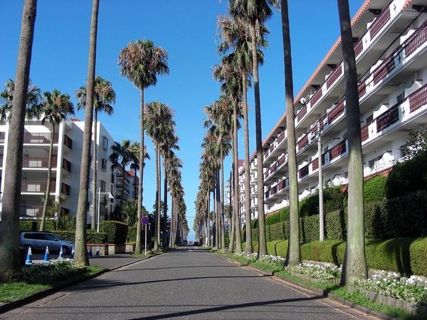 鎌倉市材木座６丁目の土地(逗子マリーナ)